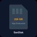 SanDisk High Endurance 256 GB micro SD card